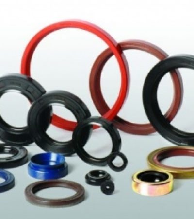 Piston keçe ve O-Ringleri